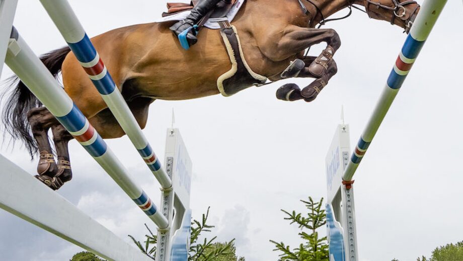 Premier Jumping League dobila zeleno svetlo FEI